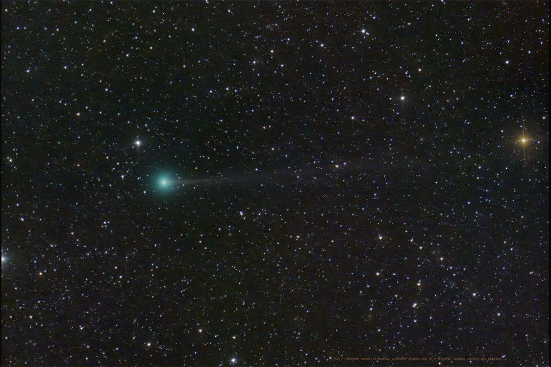 cometa Nishimura