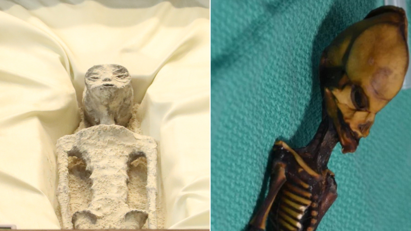 À esquerda, suposto corpo extraterrestre apresentado no México; à direita, "alien do Atacama" / Arte CNN/Câmara de Deputados do México/Universidade da Califórnia, São Francisco