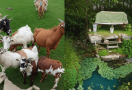 Ilusão de ótica com imagens de Messi e Cristiano Ronaldo viraliza nas redes sociais; veja