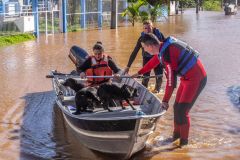 Cheia do Rio Jacuí causa alagamentos e deixa desabrigados em São Jerônimo, no Rio Grande do Sul