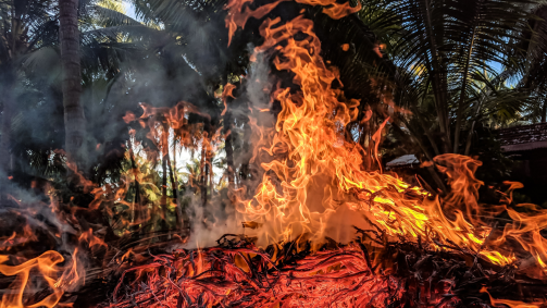 Incêndio florestal
