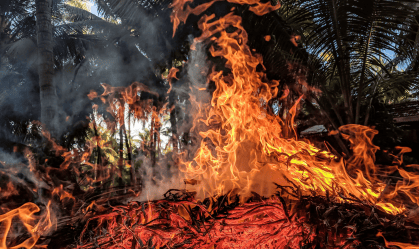 Incêndio florestal