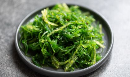 Opinião: algas marinhas são nutritivas e podem ajudar a salvar o mundo