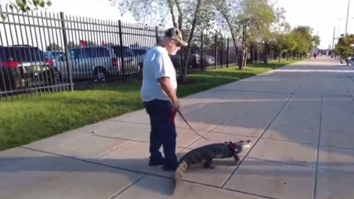 Joie Henney e seu jacaré de apoio emocional Wally