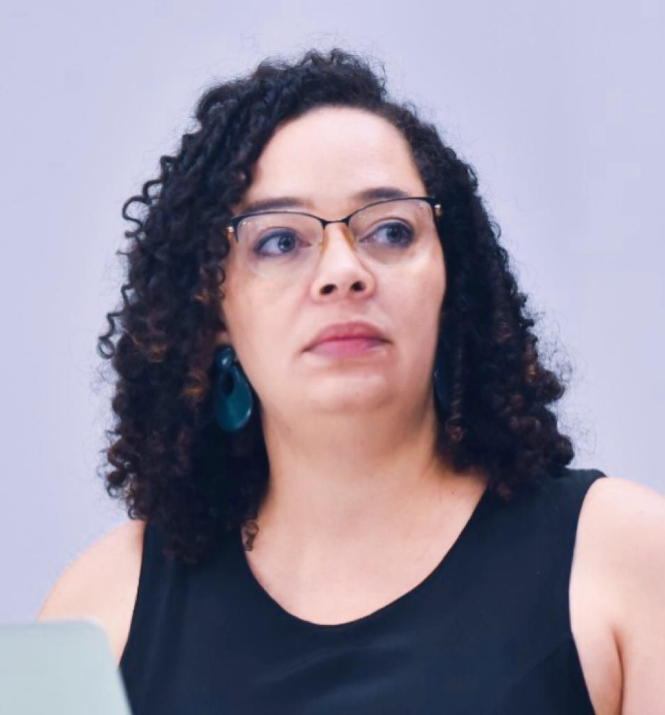 Pesquisadora Verena Pereira / Arquivo pessoal