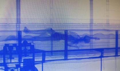 Autoridades encontraram corpo em decomposição em contêiner no porto de Santos