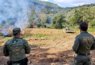 Operação Mata Atlântica em Pé aplica mais de R$ 9 milhões em multas em MG