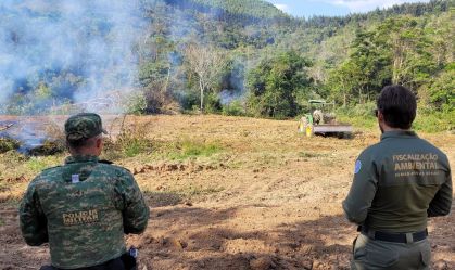 Operação Mata Atlântica em Pé aplica mais de R$ 9 milhões em multas em MG