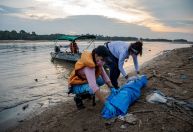 Entenda por que mais de 100 botos morreram em água a 40º C na Amazônia