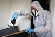 Infestação de percevejos mobiliza autoridades de Paris