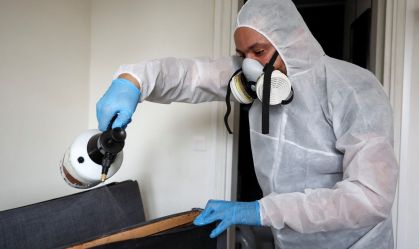 Infestação de percevejos mobiliza autoridades de Paris