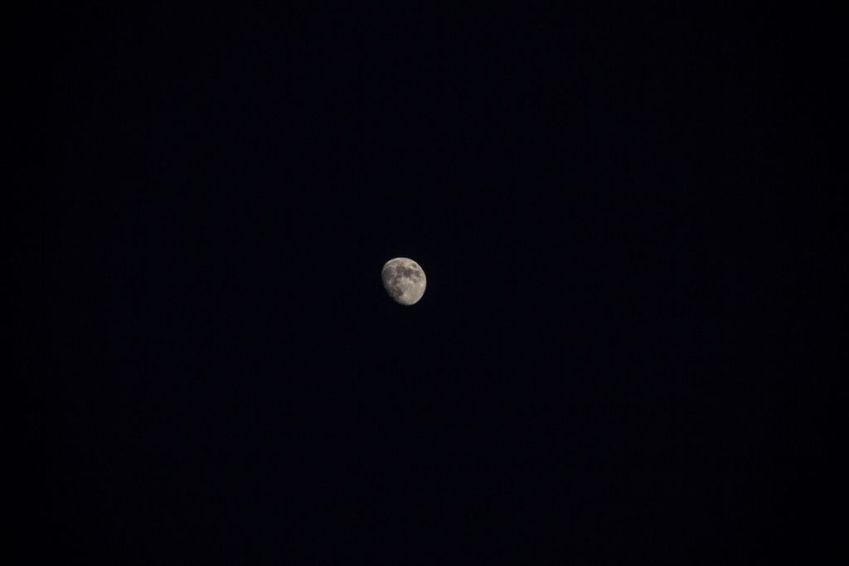 Fases da Lua em 2023 / Imagem: Shutterstock