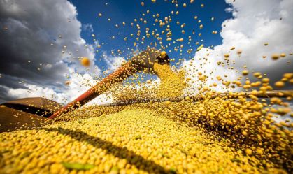 Safra de soja deve totalizar recorde de 167,3 mi de toneladas em 2025, prevê IBGE