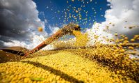 Brasil quer liderar segurança alimentar global com aumento populacional