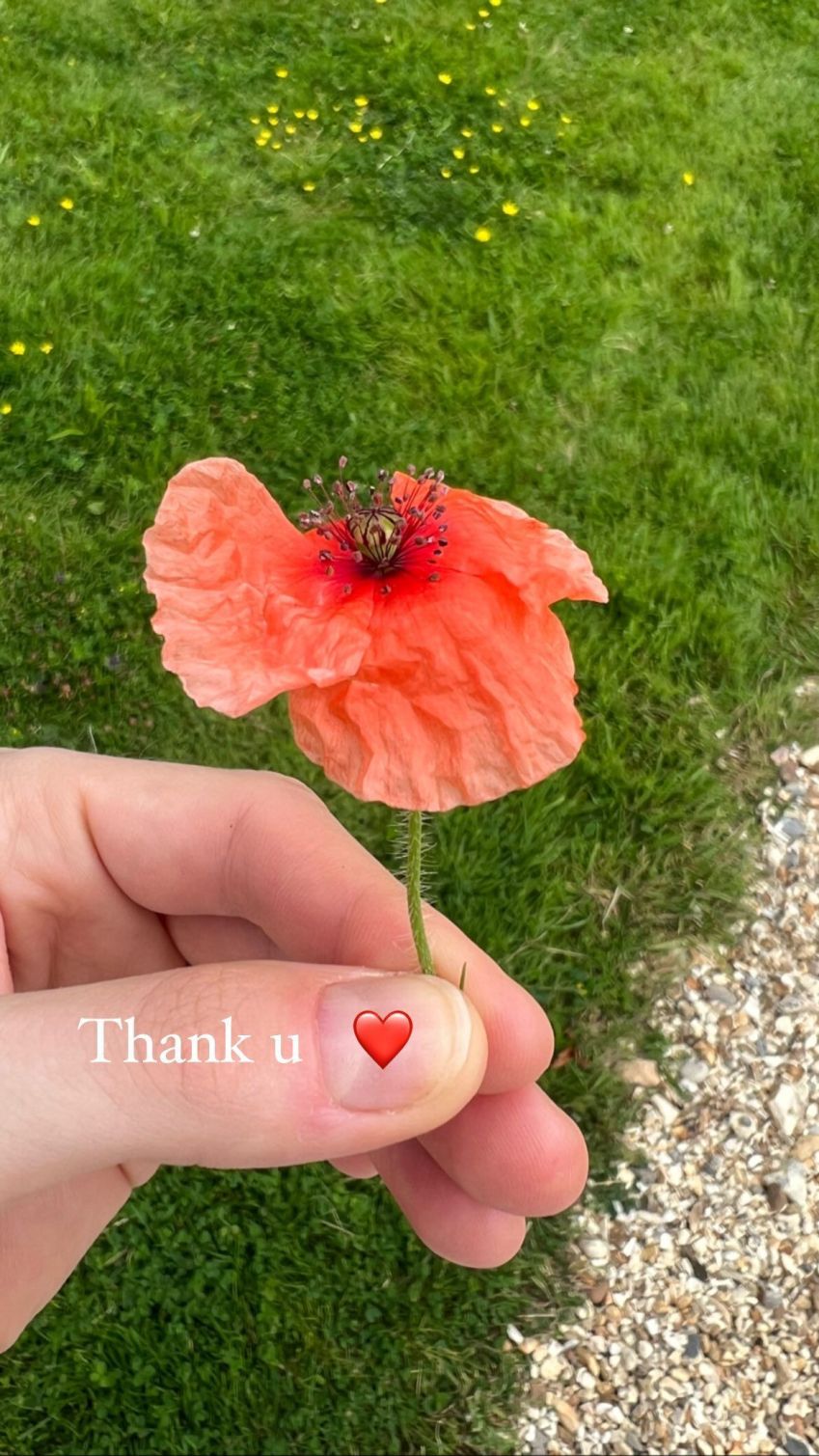 Lorde agradeceu os fãs no Instagram / Reprodução/Lorde/Instagram