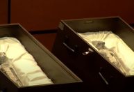 Supostos ETs de 60 cm com ovos: o que sabemos sobre corpos exibidos no México
