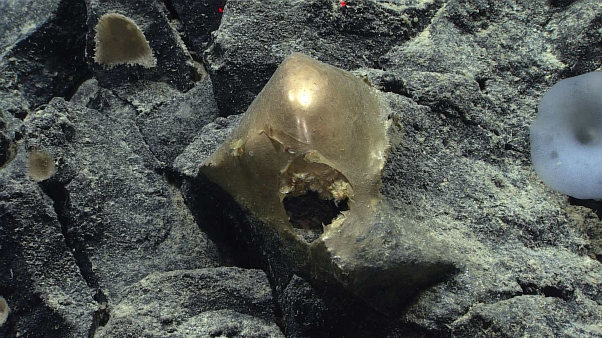 Descoberta caseira pode solucionar um dos maiores mistérios da história