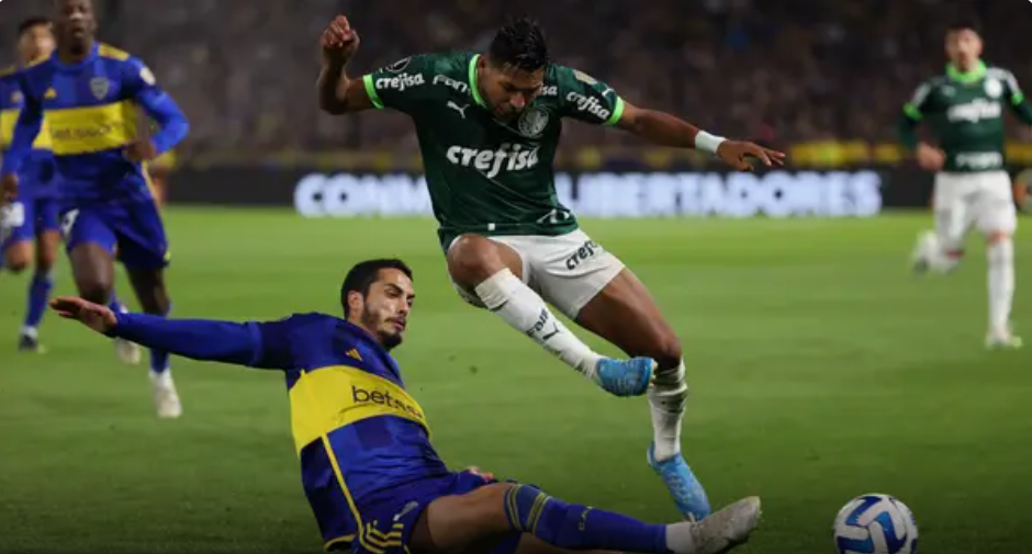 palmeiras