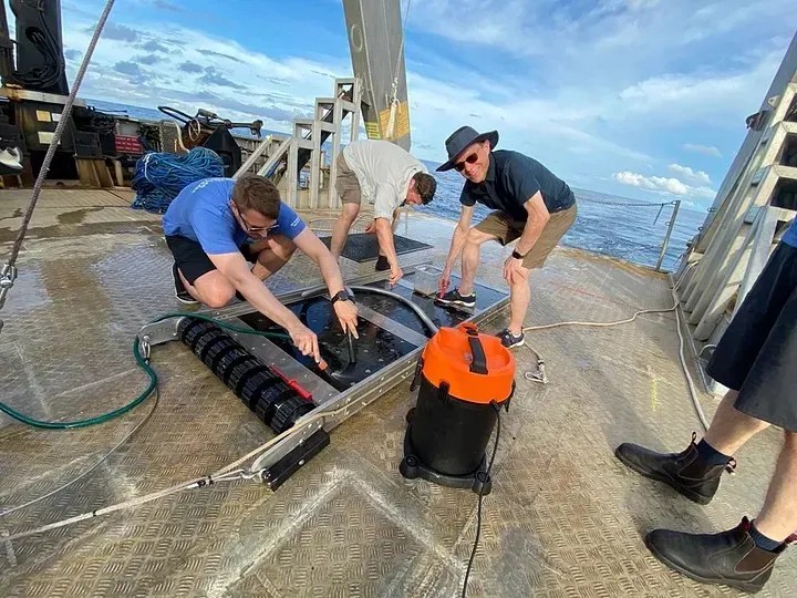 Pesquisadores durante expedição para coletar fragmentos do meteorito IM1 / Reprodução/Página virtual Avi Loeb