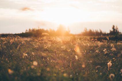 Primavera começou às 3h49 deste sábado, dia que é considerado equinócio de primavera no hemisfério sul, quando manhã e noite tem mesma duração