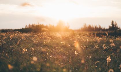 Primavera começou às 3h49 deste sábado, dia que é considerado equinócio de primavera no hemisfério sul, quando manhã e noite tem mesma duração