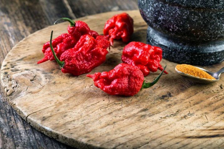 Pimenta Carolina Reaper / Imagem: Shutterstock