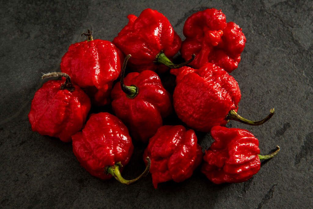 Pimenta Red Habanero / Imagem: Shutterstock