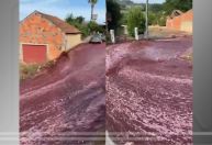 Cidade de Portugal fica com ruas alagadas de vinho depois de rompimento em depósito; veja vídeo
