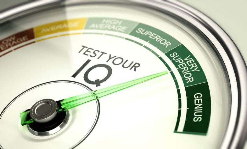 Como funcionam os testes de QI / Imagem: Shutterstock