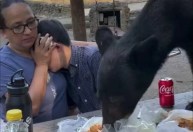 Urso invade piquenique de família e devora comida no México; assista
