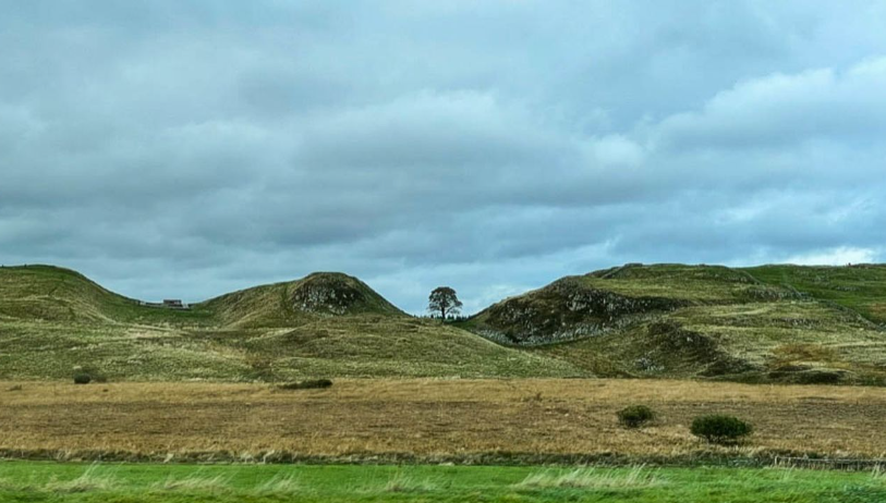 A árvore, vista aqui em 2021, foi uma presença marcante na paisagem selvagem do local / Kevin Taverner/CNN