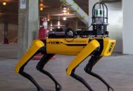 The Town terá cão-robô em esquema de segurança; entenda a estrutura do festival