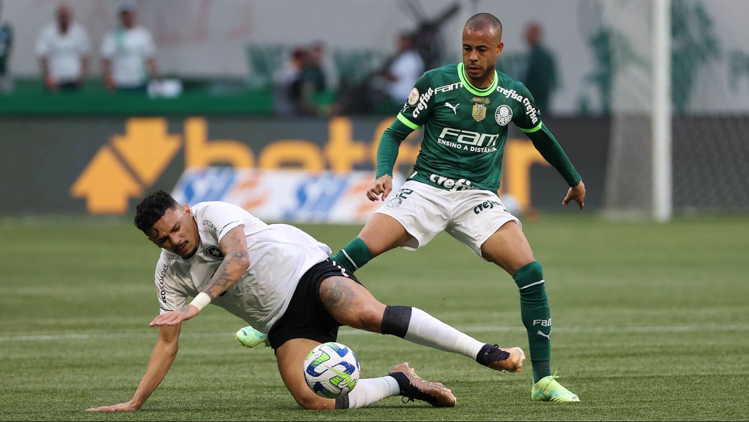 Palmeiras e Botafogo em partida do primeiro turno do Brasileirão