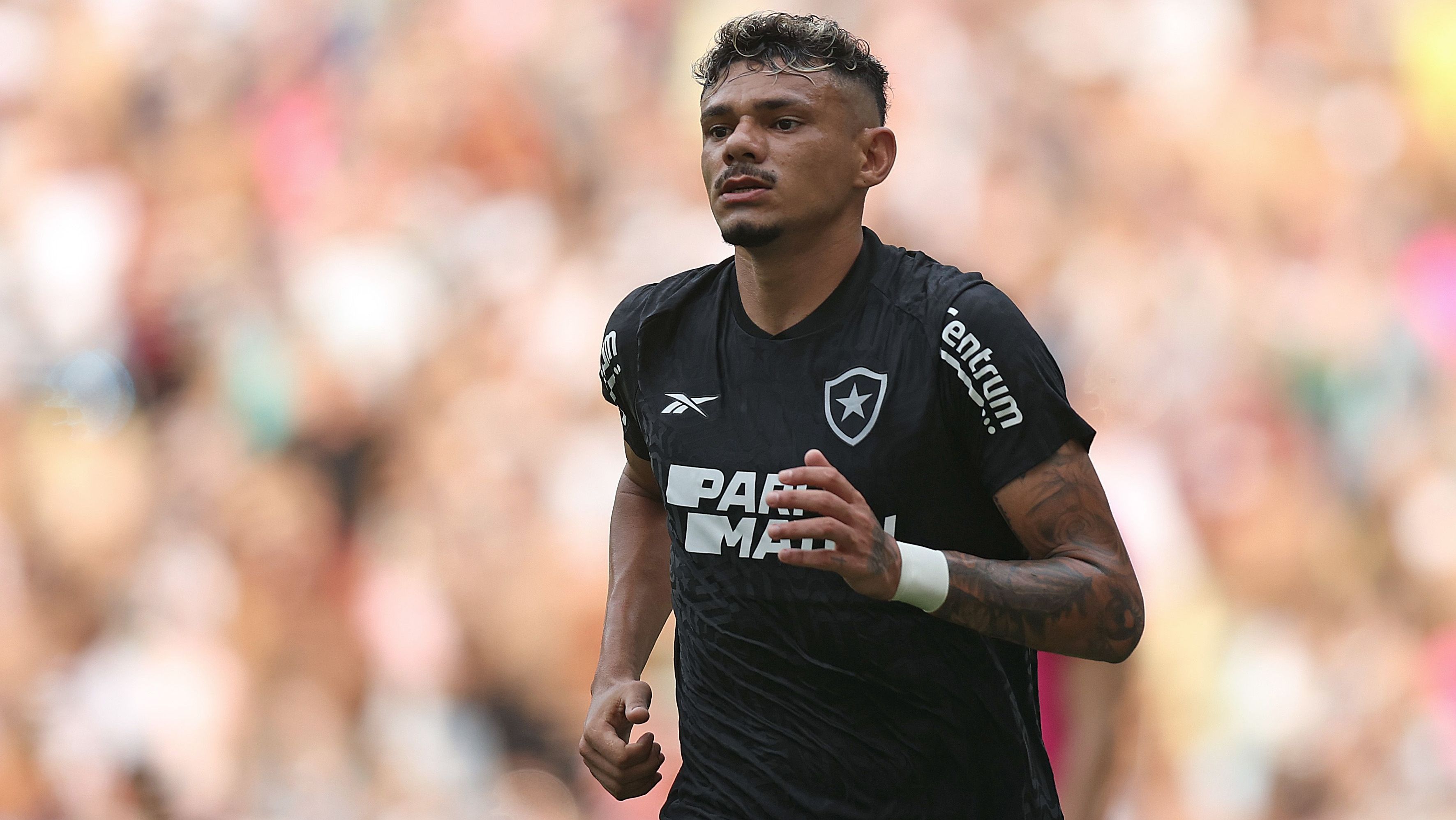 Tiquinho Soares, do Botafogo, chegou a 15 gols no Campeonato Brasileiro