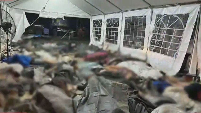 Imagens mostram corpos após ataque em festival rave em Israel / Reprodução CNN