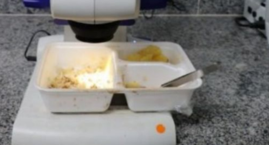Marmitas com larvas foram analisadas pela Vigilância Sanitária