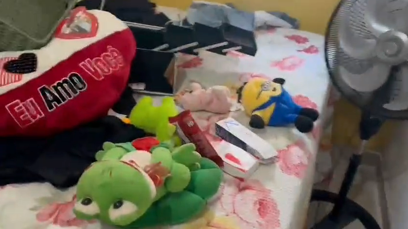 Polícia encontrou brinquedos durante busca e apreensão na casa do suspeito