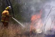 Autoridades solicitam que moradores deixem suas casas na Austrália por causa de incêndios florestais