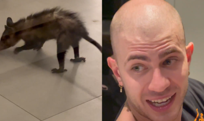 Jade Picon leva susto com gambá e compara bicho com seu irmão; veja vídeo