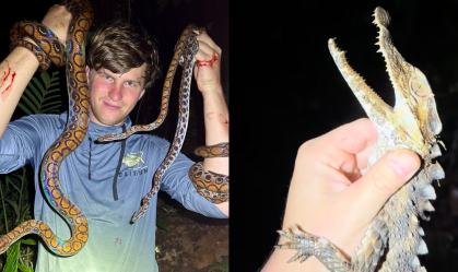"Brincadeira" perigosa: influenciador mostra animais silvestres da Floresta Amazônica