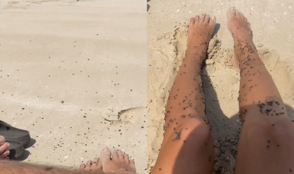 Casal é surpreendido por infestação de moscas em praia na Austrália; assista