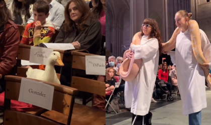 Fiéis levam camelo, cobra e até jacaré para benção em catedral de Nova York; assista