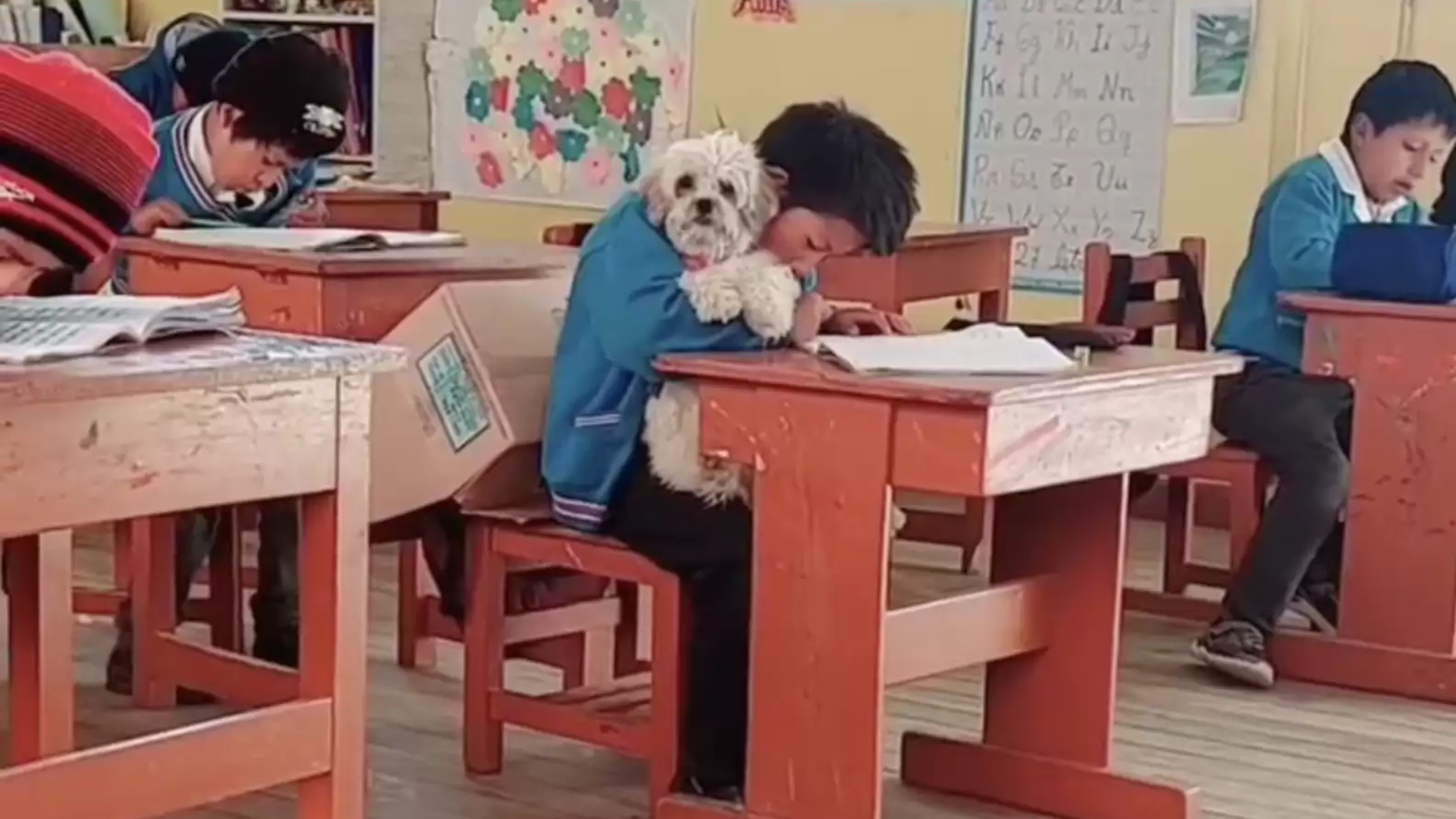 Lopez e a cachorrinha Pequeña em sala de aula