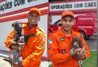 Canil do Corpo de Bombeiros do Rio terá mais duas filhotes para ajudar em operações