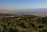 Hezbollah assume responsabilidade por ataques com mísseis em Israel