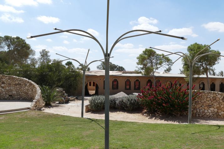 Jardim no kibutz Revivim, no deserto de Negev. no sul de Israel / Universal History Archive/Universal Images Group via Getty Images