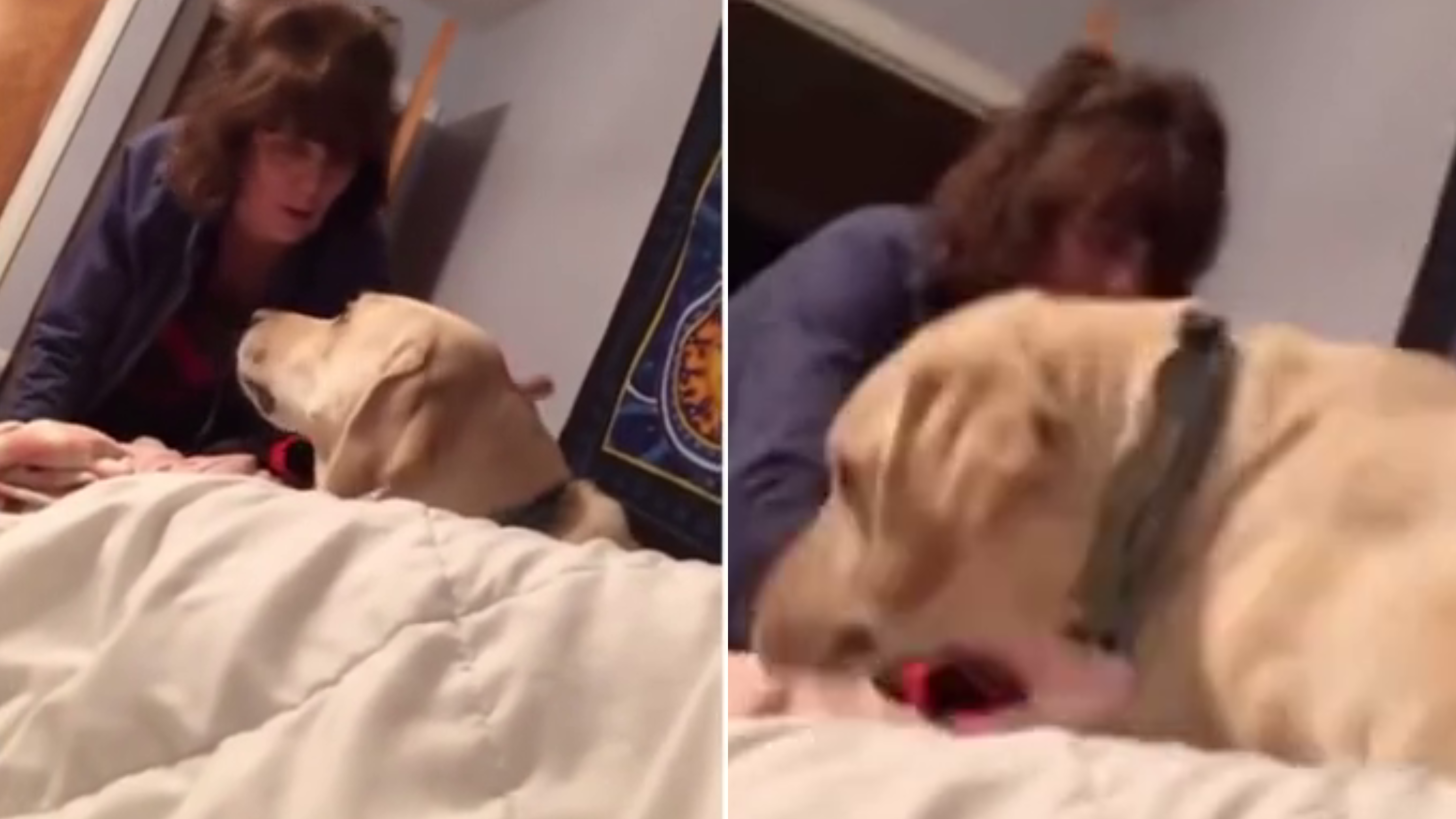 Mãe pede para cachorro ajudar com filha triste