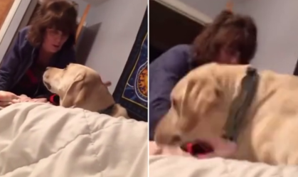 Fofura: Mãe manda cachorro consolar filha em sua primeira decepção amorosa