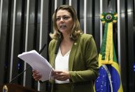 Com mercado de carbono, Brasil retoma liderança climática e protege exportações, diz relatora à CNN