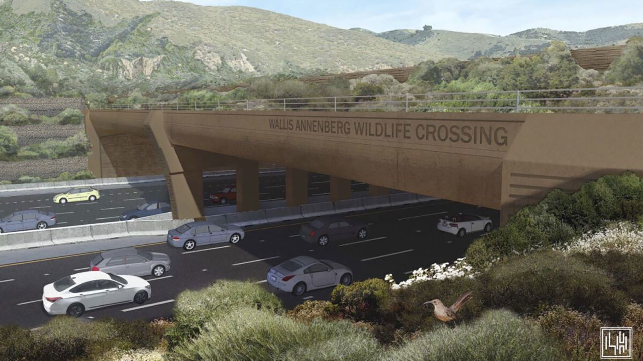 Uma representação do Wallis Annenberg Wildlife Overpass concluído / Cortesia da Federação Nacional da Vida Selvagem